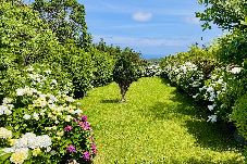 Casa em Serreta - Casa da Serreta 15 by PontaNegraAzores