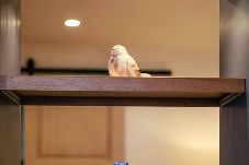 Apartamento em Angra do Heroísmo - Angra Soul 1 - By PontaNegraAzores