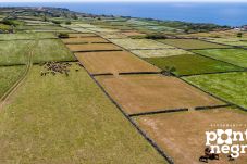 Estúdio em Cinco Ribeiras - Recanto das 5 (t0) by PontaNegraAzores