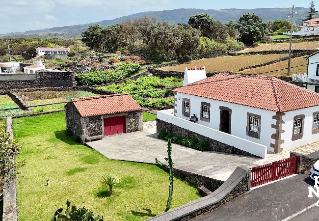 House in Biscoitos - Casa da Hortênsia Roxa by Ponta Negra Azores